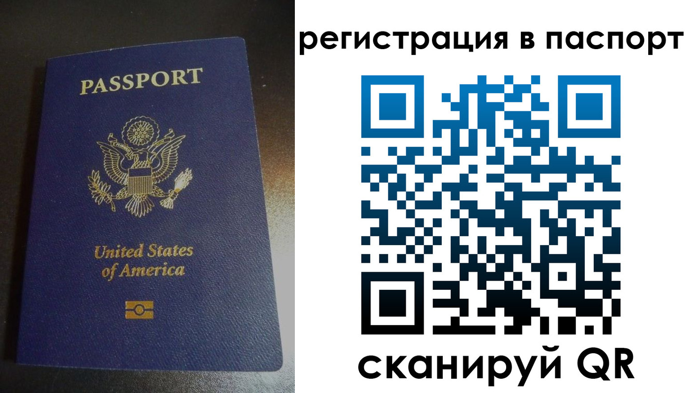 прописка для школы в Тимашёвске